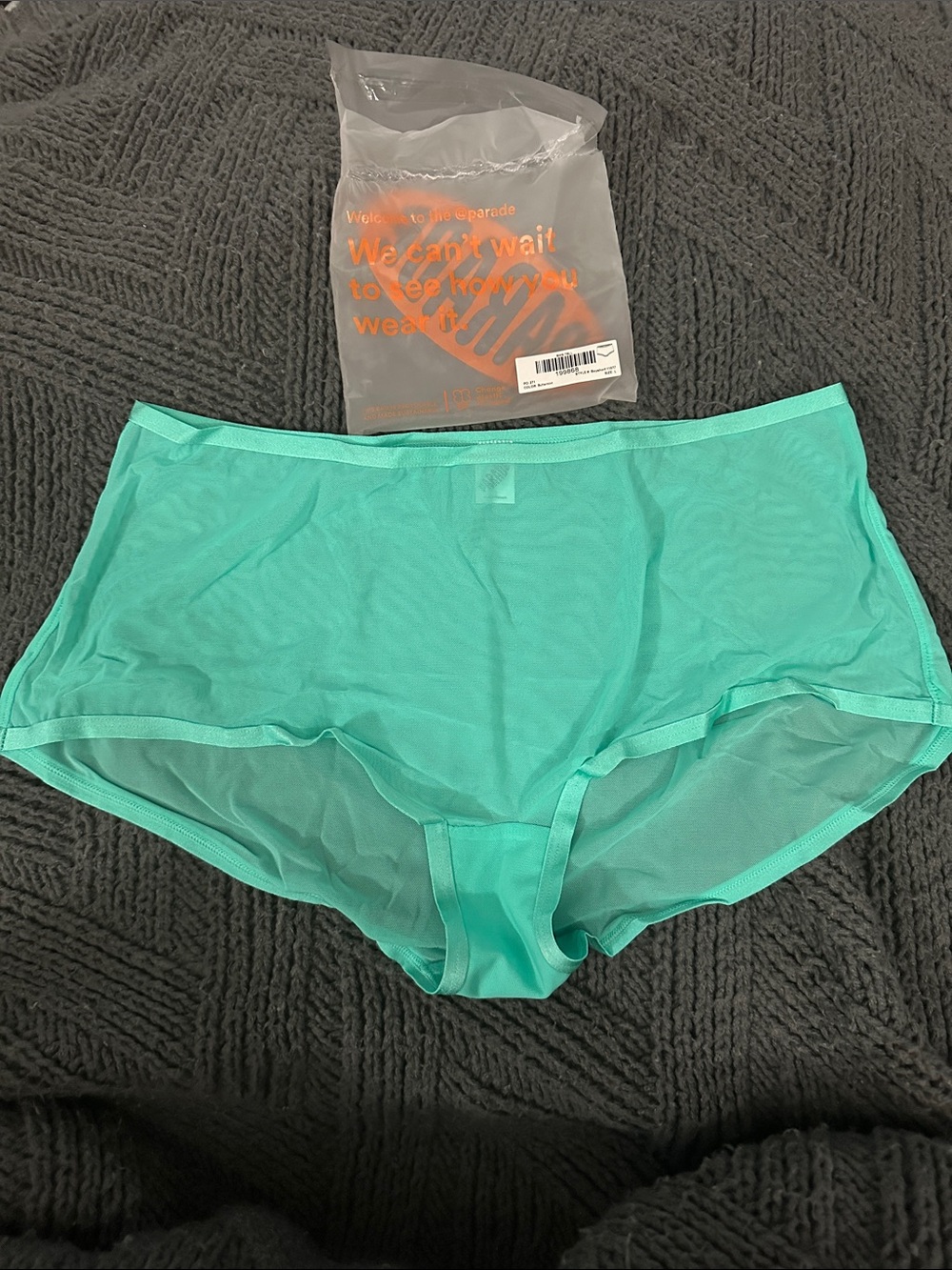 Parade Sexy Silk Mesh Boyshort Underwear - Picture 2 of 8